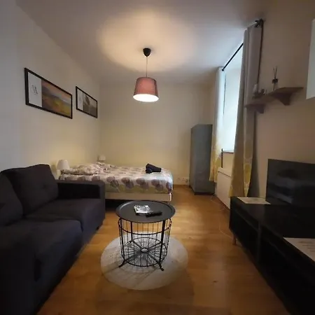 Appartement Studio Saint Martin Colmar