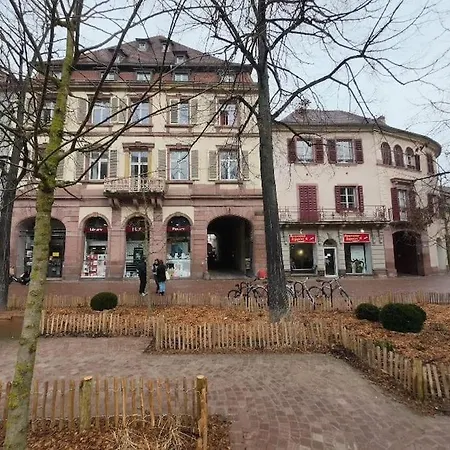 Appartement Studio Saint Martin Colmar